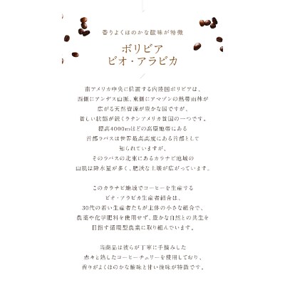 ゴールドコーヒーロースターズ　フェアトレード　ボリビア　200g×2　豆