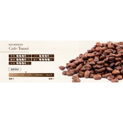 ゴールドコーヒーロースターズ　フェアトーレド　ニカラグア　豆　200g×2