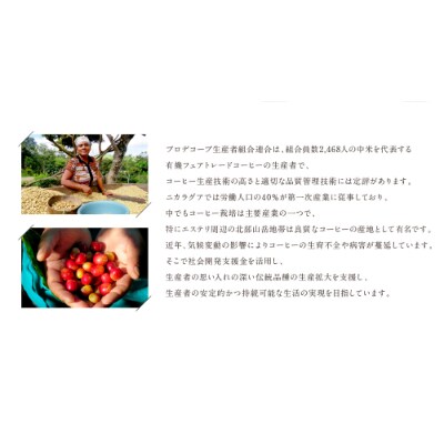 ゴールドコーヒーロースターズ　フェアトーレド　ニカラグア　豆　200g×2