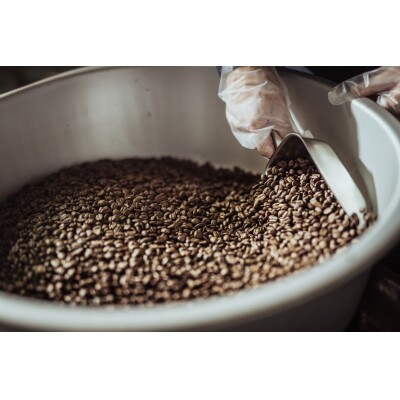 ゴールド珈琲の軽めブレンドコーヒー2kg(豆)