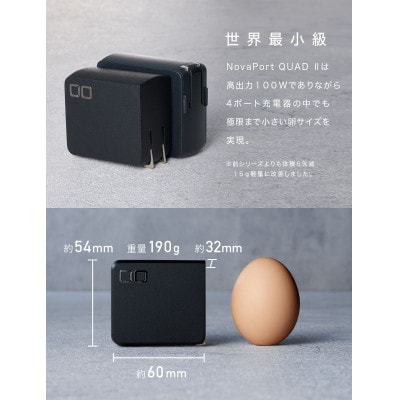 CIO USB充電器 急速充電対応 NovaPort QUAD2 100W 3C1A (ブラック)