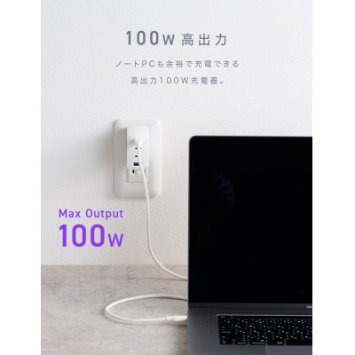 CIO USB充電器 急速充電対応 NovaPort QUAD2 100W 3C1A (ホワイト)