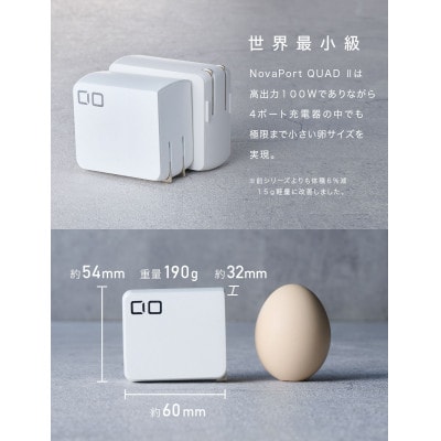 CIO USB充電器 急速充電対応 NovaPort QUAD2 100W 3C1A (ホワイト)