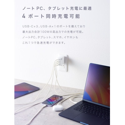 CIO USB充電器 急速充電対応 NovaPort QUAD2 100W 3C1A (ホワイト)
