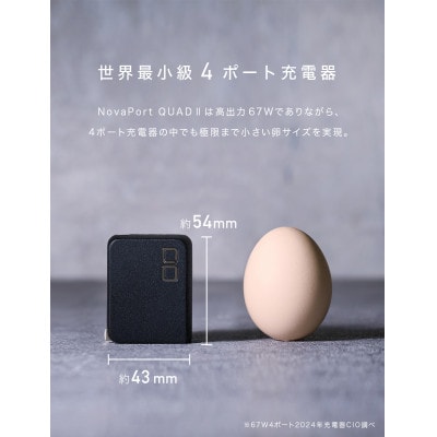 CIO USB充電器 急速充電対応 NovaPort QUAD2 67W 3C1A (ブラック)