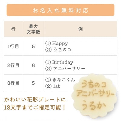 【MyBESTiee】愛犬用 アニバーサリーケーキ フラワー | 犬用ケーキ 誕生日