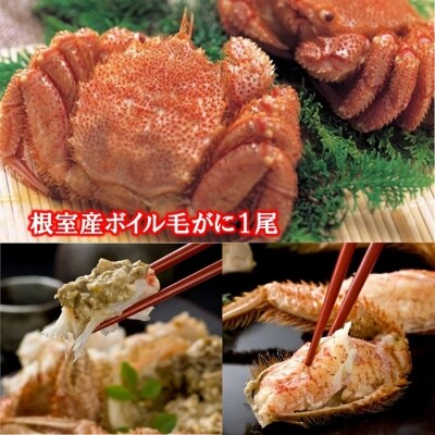 【12/13まで年内配送】★ボイル毛がに1尾 A-01016