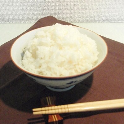 静岡県袋井市産　コシヒカリ白米　10kg
