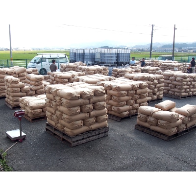 令和3年産 静岡県袋井産 こしひかり 5kg×2袋 (精米)