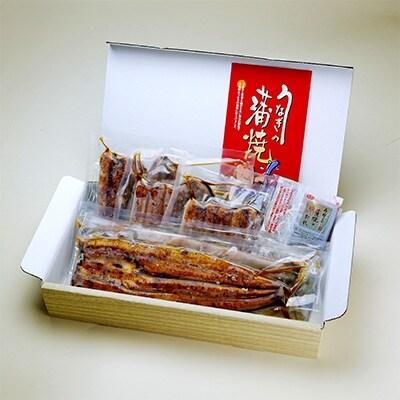「2020年2月下旬発送」静岡うなぎ蒲焼き特串×3　長蒲焼き×2
