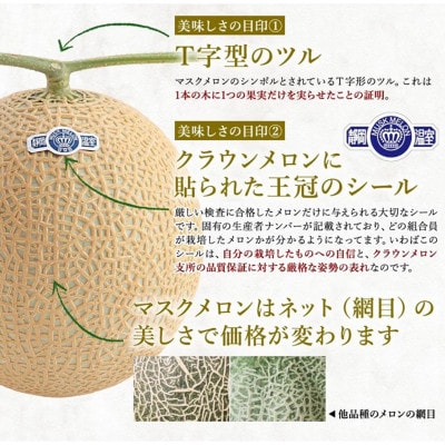 【通年出荷】クラウンメロン(白等級)3玉詰
