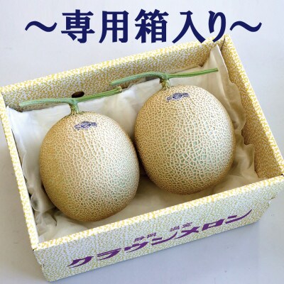 【規格外BIGサイズ!】クラウンメロン規格外特大玉　2玉