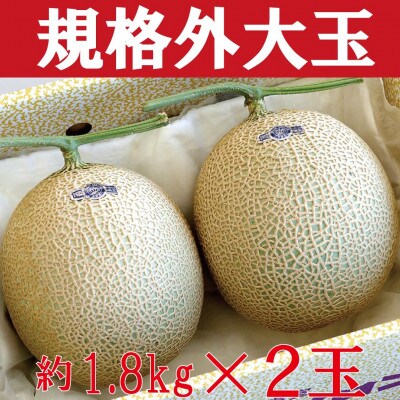 【2024年9月下旬発送】クラウンメロン規格外大玉　2玉(約3.6Kg)(袋井市)