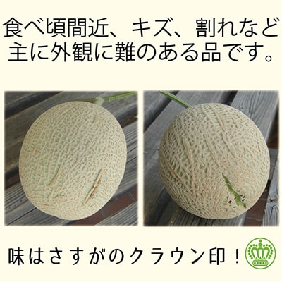 【毎月定期便】【訳あり品】クラウンメロン2玉～ご家庭用に～12ヵ月毎月お届け【定期便】全12回