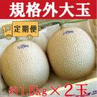 【毎月定期便】クラウンメロン規格外大玉2玉・12ヵ月毎月お届け全12回