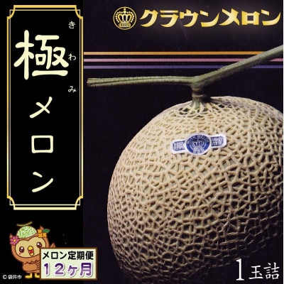 【毎月定期便】クラウンメロン『極』山等級　1玉　全12回