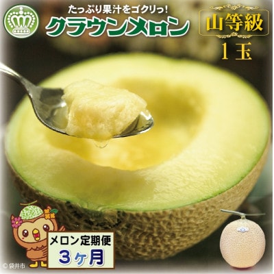【毎月定期便】【通年出荷】クラウンメロン(山等級) 1玉　全3回