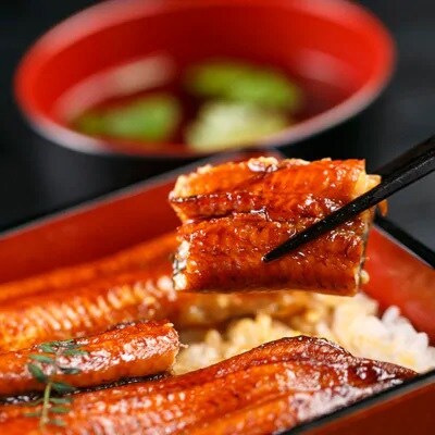 2020年9月発送開始『定期便』静岡うなぎ長蒲焼き3尾入り全6回