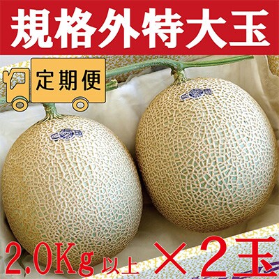 2023年4月発送開始『定期便』【12ヶ月毎月お届け】クラウンメロン規格外特大玉　2玉　全12回