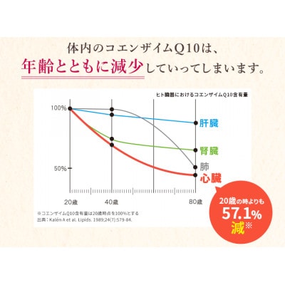 DHCコエンザイムQ10還元型 30日分【機能性表示食品】6個セット