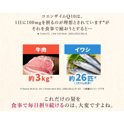 DHCコエンザイムQ10還元型 30日分【機能性表示食品】6個セット