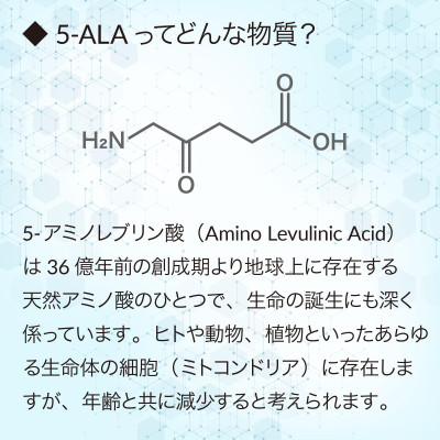 おまとめ2個セット　アラヴァイタル(5-ALAサプリメント)30粒入り
