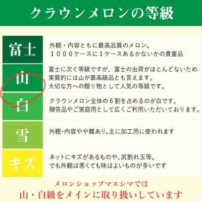 静岡産 クラウンメロン【並(白等級)】大玉(約1.4kg)1玉入り