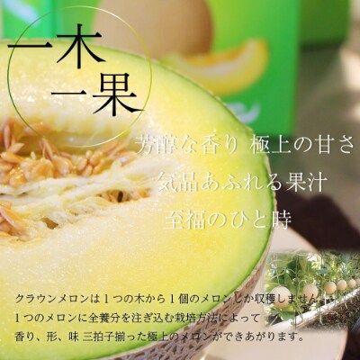 静岡県産クラウンメロン 上(山等級) 約1.3kg 6玉入り