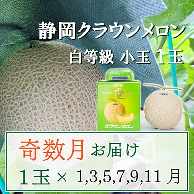 【発送月固定定期便】奇数月クラウンメロン白等級小玉(1.1kg前後)1玉入り 全6回