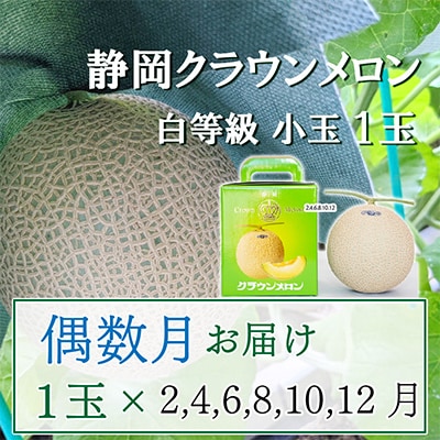 【発送月固定定期便】偶数月クラウンメロン白等級小玉(1.1kg前後)1玉入り 全6回