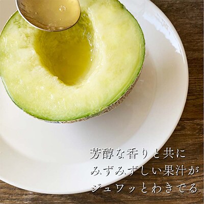 【毎月定期便】クラウンメロン白等級小玉(1.1kg前後)2玉入り 全3回