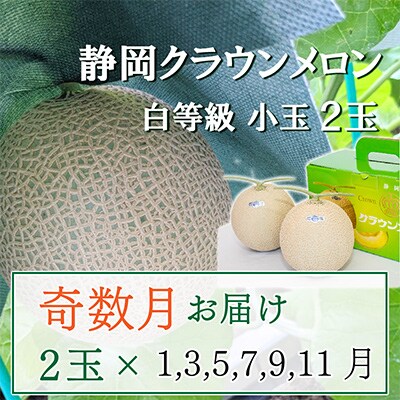 【発送月固定定期便】<奇数月>クラウンメロン白等級小玉(1.1kg前後)2玉入り 全6回