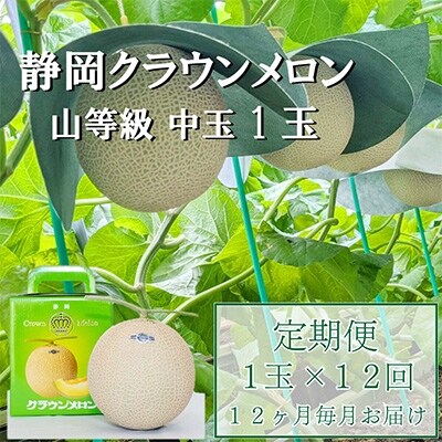 2022年4月発送開始『定期便』クラウンメロン【上(山等級)】中玉(1.3kg前後)1玉入全12回
