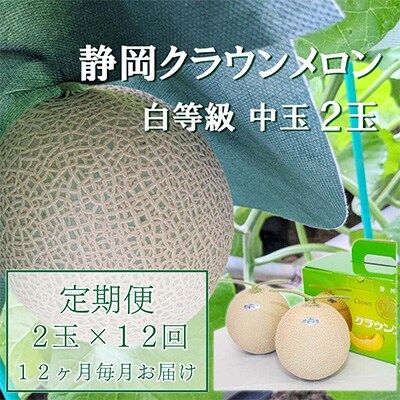 2022年4月発送開始『定期便』クラウンメロン【並(白等級)】中玉(1.3kg前後)2玉入全12回