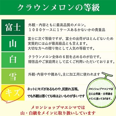 2022年4月発送開始『定期便』クラウンメロン訳あり2玉入り全6回