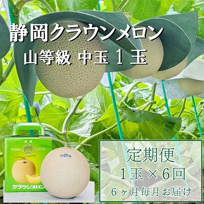 2022年4月発送開始『定期便』クラウンメロン【上(山等級)】中玉(1.3kg前後)1玉入り全6回