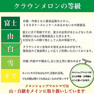 2022年4月発送開始『定期便』クラウンメロン【並(白等級)】中玉(1.3kg前後)1玉入全12回