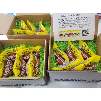 機能性表示食品　Hapitoma ハピトマ　　糖度9(1kg)