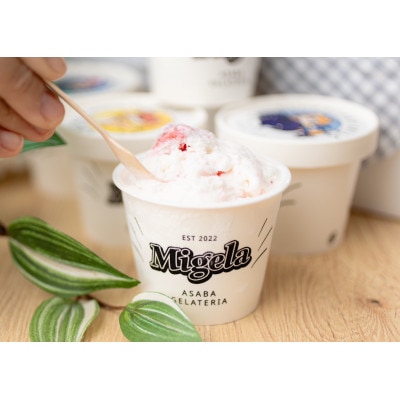 Migelaの人気ジェラート10個食べ比べセット 【定番6種+季節のおまかせ4種】