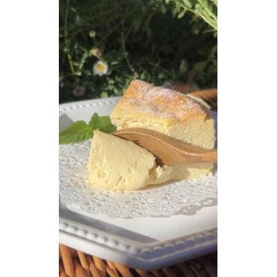 【Migela×en&...chiffon】手作りジェラート9個と米粉チーズケーキの季節セット