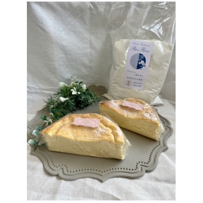 【Migela×en&...chiffon】手作りジェラート6個と米粉チーズケーキの定番セット(1)