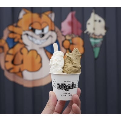 【発送月固定定期便】Migelaの人気ジェラート6個食べ比べセット(1)全6回