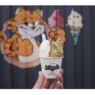 【発送月固定定期便】Migelaの人気ジェラート6個食べ比べセット(2)全6回