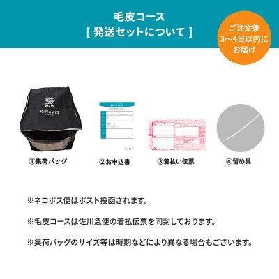 リナビスの毛皮クリーニング　クーポン