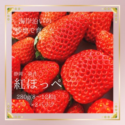 海岸沿いの砂地で育った紅ほっぺ　【静岡県袋井市産】　280g×2パック