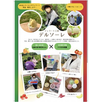 デルソーレ　ジェラート　さつま芋 (紅はるか)　6個セット