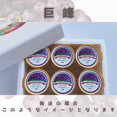 デルソーレ　ジェラート　巨峰　6個セット