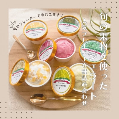 【3ヵ月毎定期便】旬の人気ジェラート6種6個セット全3回