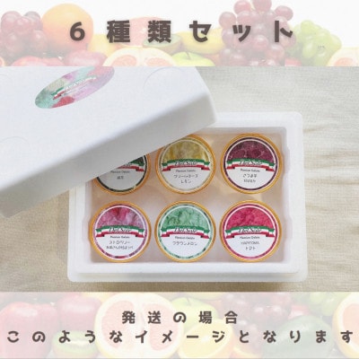 【3ヵ月毎定期便】旬の人気ジェラート6種6個セット全3回