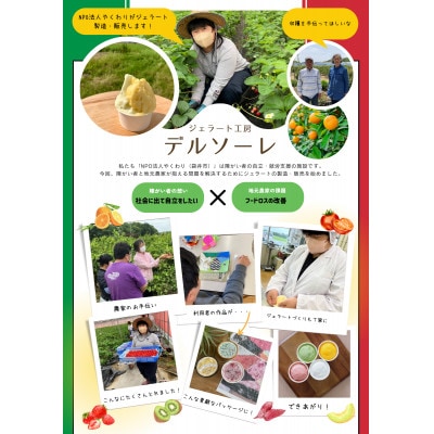 【3ヵ月毎定期便】旬の人気ジェラート6種6個セット全3回